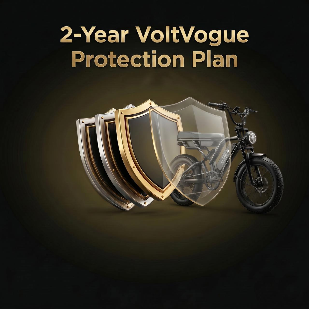 2-Year VoltVogue Protection Plan
